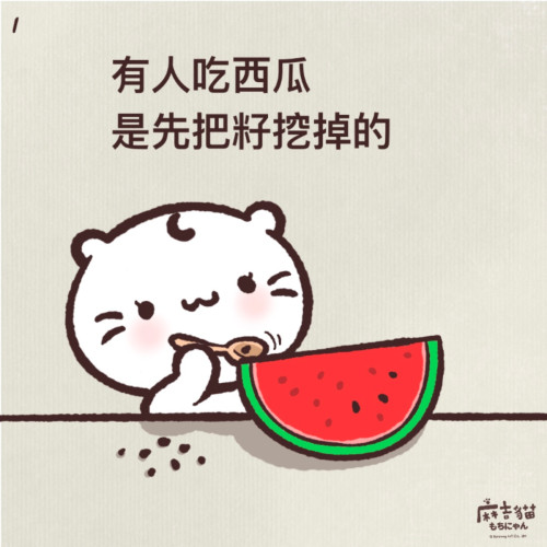 西瓜的人生百態